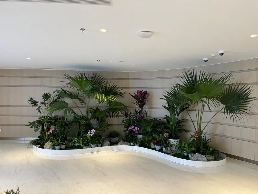 鄞州绿植租摆服务佳，快来体验别样精彩！